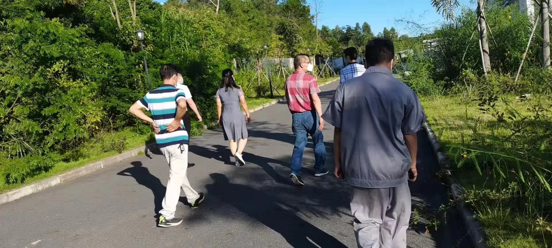 <strong>實(shí)地考察</strong>